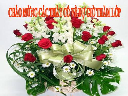 Bài 24. Biển và đại dương