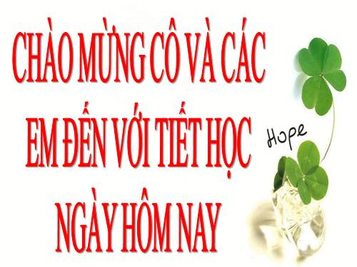 Bài 13. Địa hình bề mặt Trái Đất