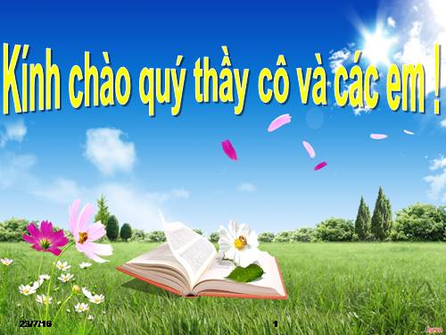 Bài 16. Thực hành: Đọc bản đồ (hoặc lược đồ) địa hình tỉ lệ lớn