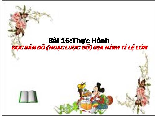 Bài 16. Thực hành: Đọc bản đồ (hoặc lược đồ) địa hình tỉ lệ lớn