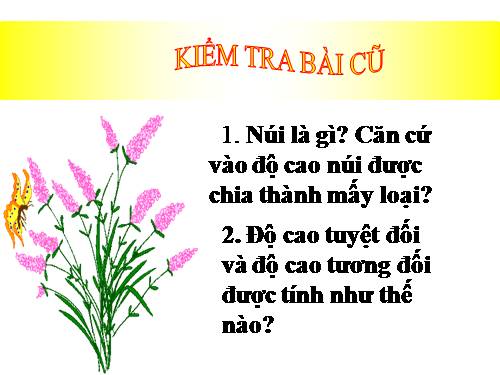 Bài 14. Địa hình bề mặt Trái Đất (tiếp theo)