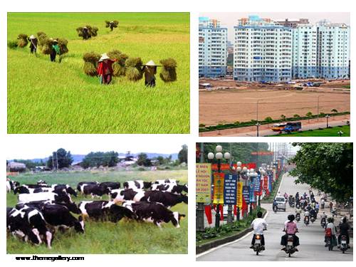 Bài 26. Đất. Các nhân tố hình thành đất