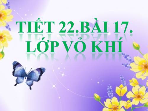 Bài 17. Lớp vỏ khí