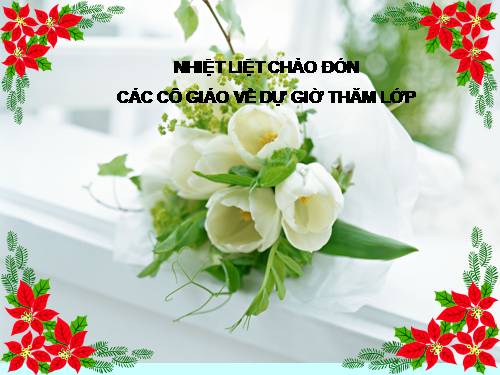 Bài 10. Cấu tạo bên trong của Trái Đất