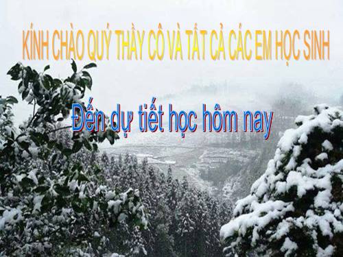 Bài 8. Sự chuyển động của Trái Đất quanh Mặt Trời