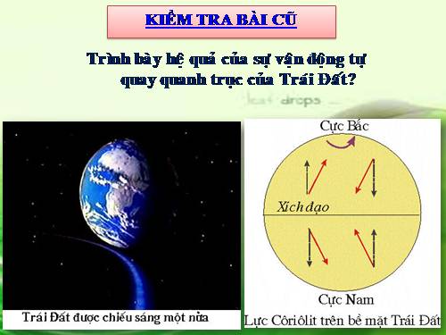 Bài 8. Sự chuyển động của Trái Đất quanh Mặt Trời