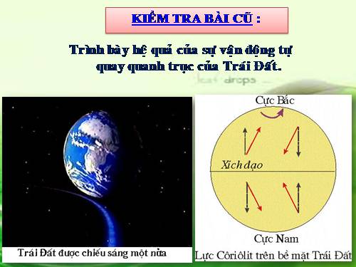 Bài 8. Sự chuyển động của Trái Đất quanh Mặt Trời