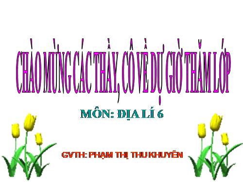 on tap dia 6