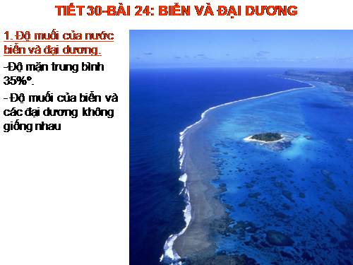 Bài 24. Biển và đại dương