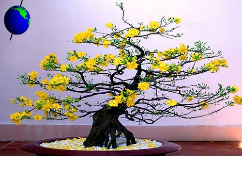 Bài 18. Thời tiết, khí hậu và nhiệt độ không khí