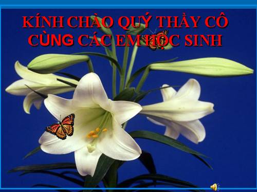 Bài 12. Tác động của nội lực và ngoại lực trong việc hình thành địa hình bề mặt Trái Đất