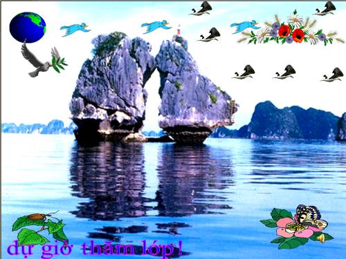 Bài 13. Địa hình bề mặt Trái Đất