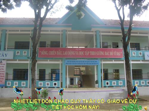 Bài 12. Tác động của nội lực và ngoại lực trong việc hình thành địa hình bề mặt Trái Đất