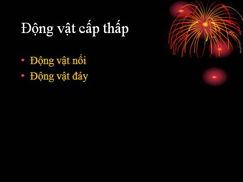 Điịa lý Biển Đông