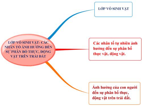 Bài 27. Lớp vỏ sinh vật. Các nhân tố ảnh hưởng đến sự phân bố thực, động vật trên Trái Đất