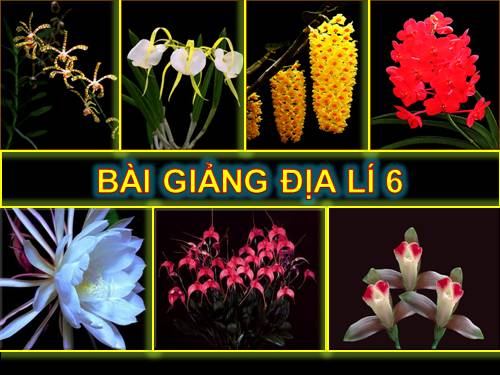 Bài 13. Địa hình bề mặt Trái Đất