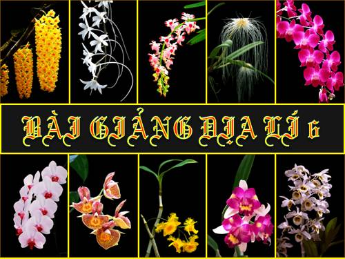 Bài 12. Tác động của nội lực và ngoại lực trong việc hình thành địa hình bề mặt Trái Đất