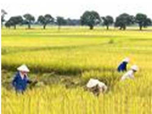 Bài 14. Địa hình bề mặt Trái Đất (tiếp theo)
