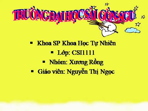 Đại học _Cao đẳng