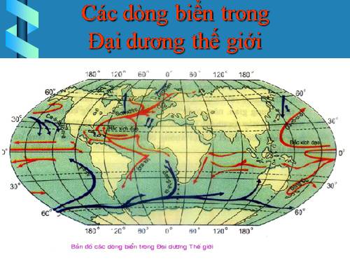 Bài 24. Biển và đại dương