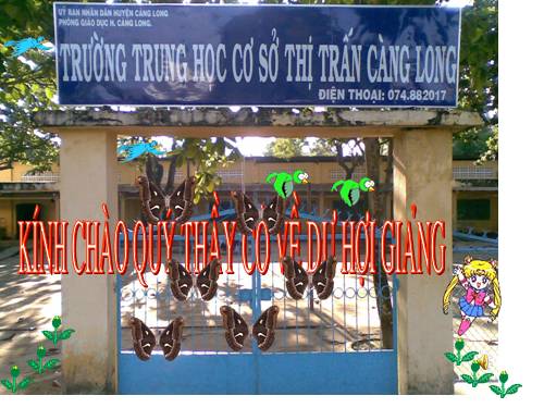 Bài 22. Các đới khí hậu trên Trái Đất