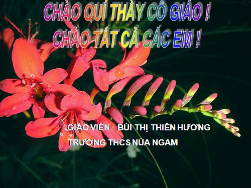 bai 16 ôn tập