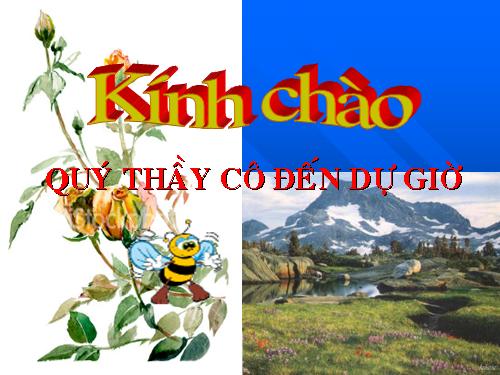 Bài 10. Cấu tạo bên trong của Trái Đất