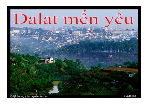 canh da lat