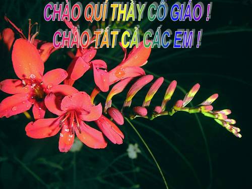 Tiết 17. ÔN TẬP HKI