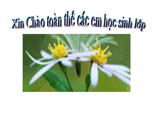 Bài 13. Địa hình bề mặt Trái Đất