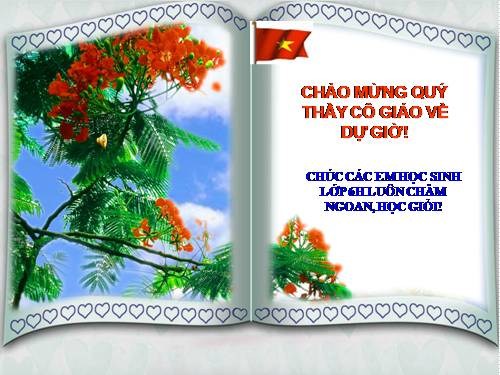 Bài 12. Tác động của nội lực và ngoại lực trong việc hình thành địa hình bề mặt Trái Đất