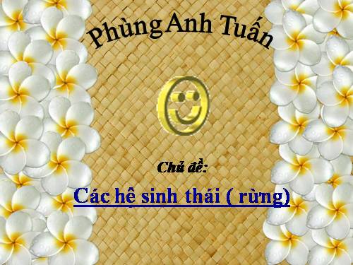 he sinh thai rung