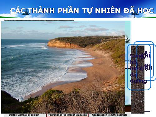 Bài 26. Đất. Các nhân tố hình thành đất