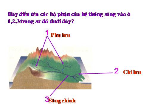 Bài 24. Biển và đại dương