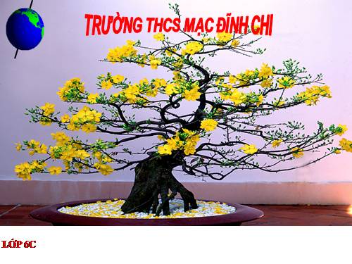 Bài 18. Thời tiết, khí hậu và nhiệt độ không khí