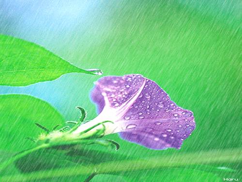 Bài 20. Hơi nước trong không khí. Mưa