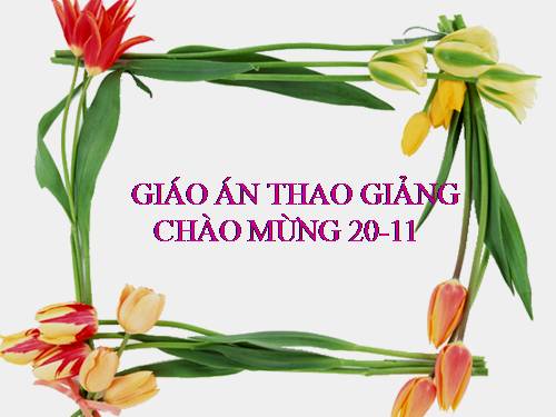 Bài 8. Sự chuyển động của Trái Đất quanh Mặt Trời