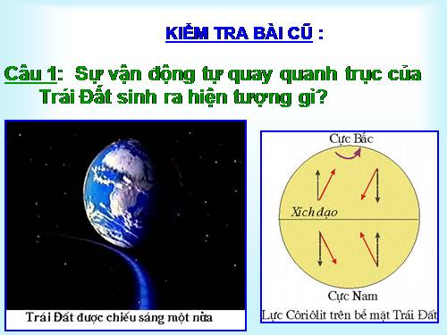 Bài 8. Sự chuyển động của Trái Đất quanh Mặt Trời
