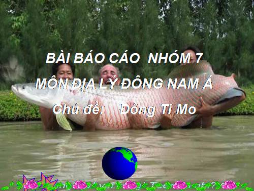 đông timo