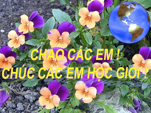 Bài 10. Cấu tạo bên trong của Trái Đất