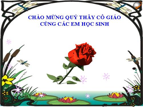 Bài 22. Các đới khí hậu trên Trái Đất