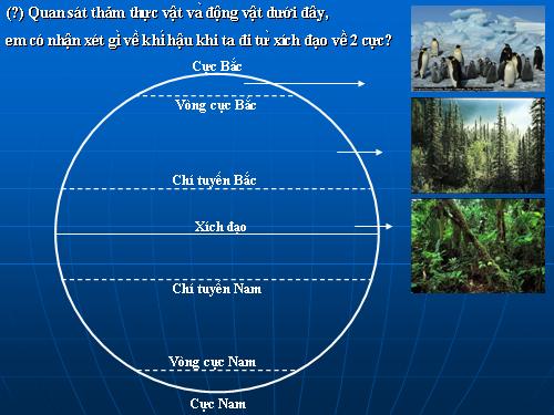 Bài 22. Các đới khí hậu trên Trái Đất