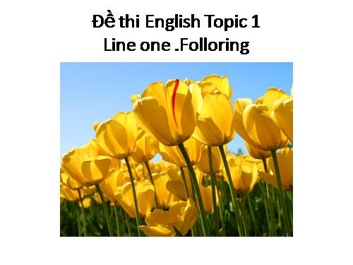 Đề thi English Topic 1 : Line 1