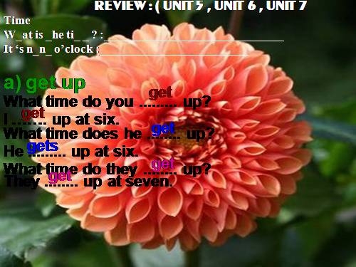 REVIEW ( U 5,6,7 )