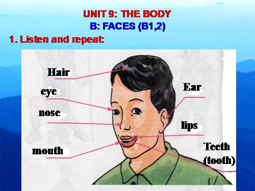 Unit 9. The body