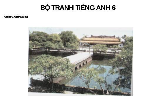BỘ TRANH TiẾNG ANH 6 - UNIT 14