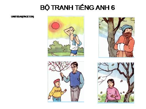 BỘ TRANH TiẾNG ANH 6 - UNIT 13