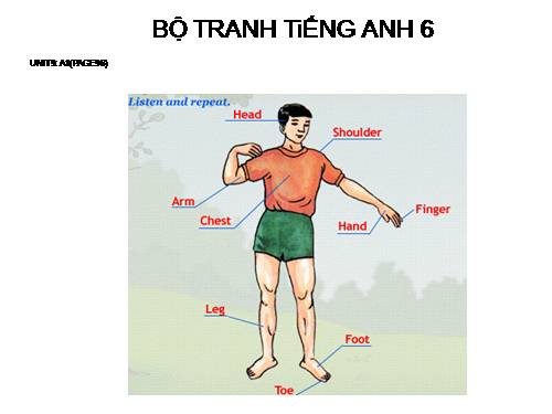 BỘ TRANH TiẾNG ANH 6 - UNIT 9