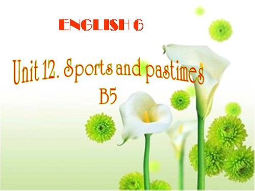 Unit 12. Sports and pastimes