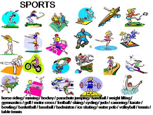 SPORTS